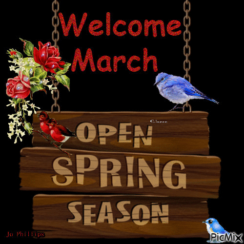 welcome March xx - GIF animate gratis
