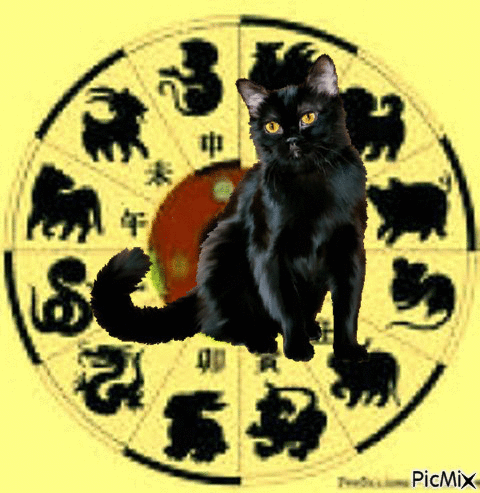 Sin gato en el horóscopo chino - GIF animate gratis