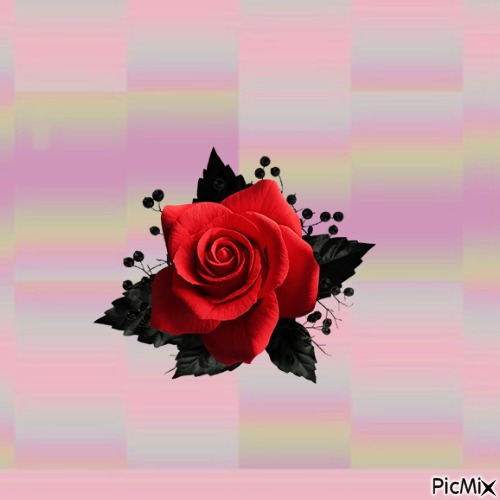 rosa - безплатен png