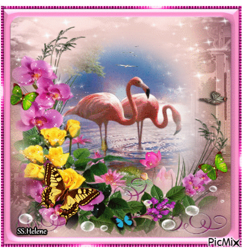 Flamingos. - GIF animado grátis
