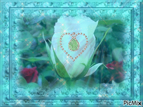 rose blanche - Gratis geanimeerde GIF