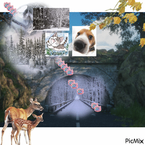 liminal road and chi and dog and leaves and winter - Ücretsiz animasyonlu GIF