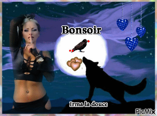 Bonsoir - 無料のアニメーション GIF