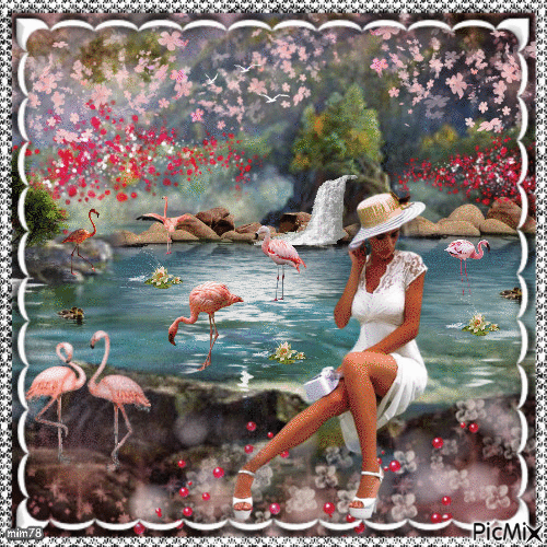 At a flamingoes' lake - 無料のアニメーション GIF