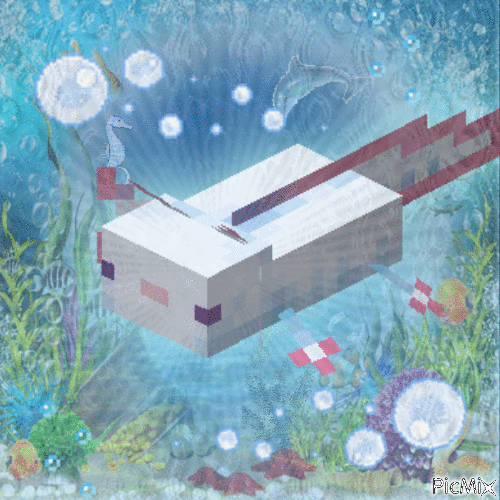axolotl - Бесплатный анимированный гифка