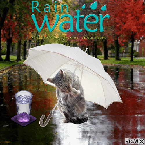 Rain Water Directly From Heaven - Безплатен анимиран GIF