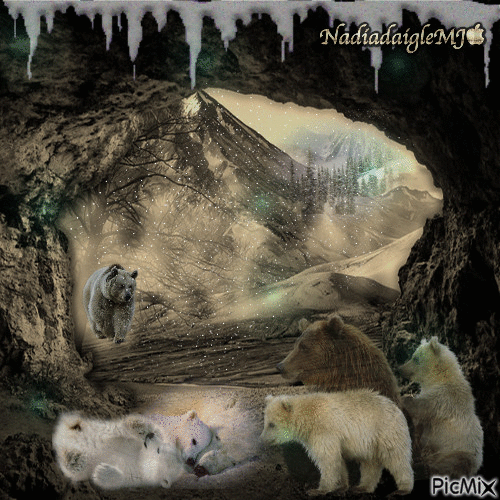 les ours ,,, - Zdarma animovaný GIF