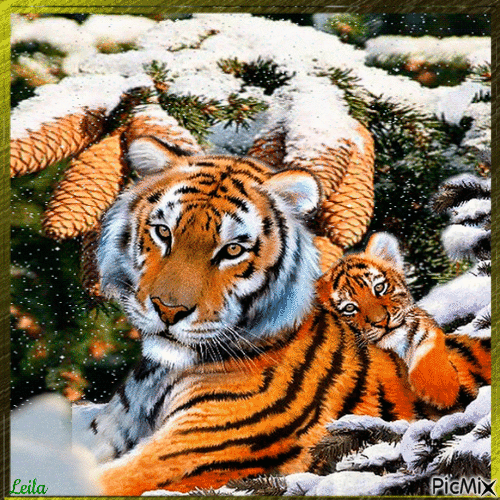 Tiger mother and baby - 免费动画 GIF