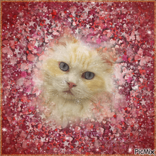 ✶ Cat Lover {by Merishy} ✶ - Gratis animeret GIF