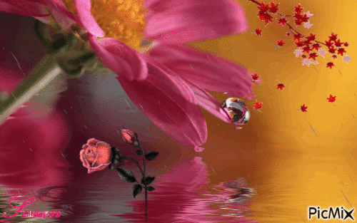 Flores - Безплатен анимиран GIF