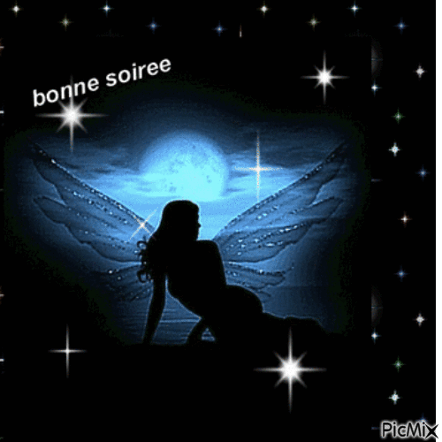 bonne soiree - Бесплатный анимированный гифка