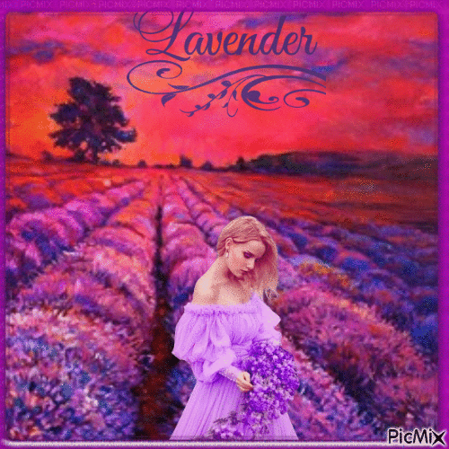 LAVENDER FIELDS - Free animated GIF