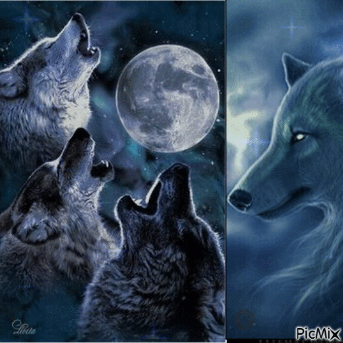 WOLVES HOWLING IN FULL MOON - 免费动画 GIF