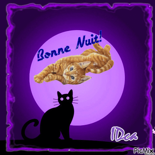 Bonne nuit les chatons - Besplatni animirani GIF