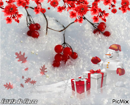 Flor de Natal - GIF animado gratis