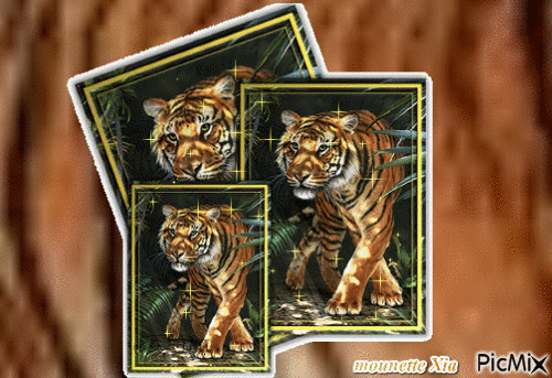 les tigres - GIF animado grátis