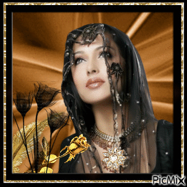 black and gold - Free animated GIF