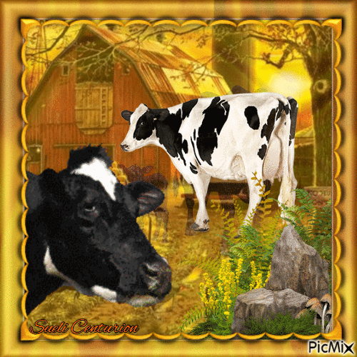 Vaca - Ingyenes animált GIF