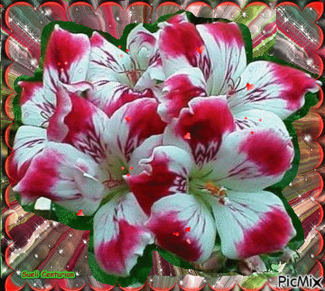 Flores e Corações Vermelhos - GIF animado grátis - PicMix