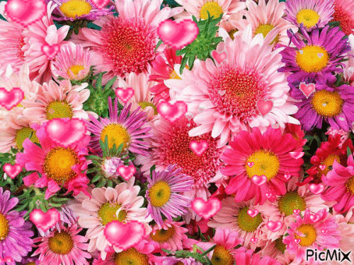 champ de fleurs - GIF animé gratuit
