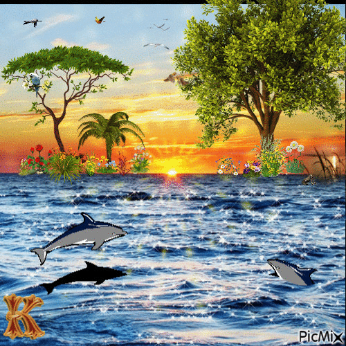 Delfinek - Ingyenes animált GIF