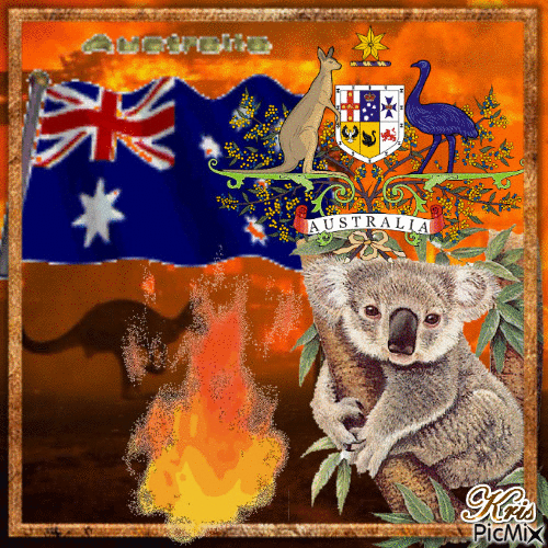 solidarité Australie ⭐⛄🎄❤️ - GIF animado grátis