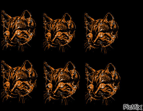 cat'shappy - 無料のアニメーション GIF