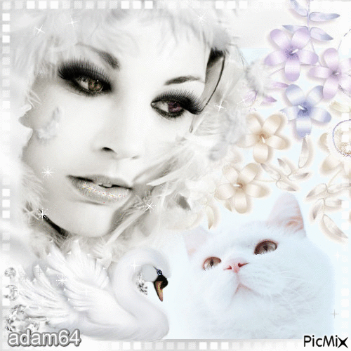 Best friends-chat blanc et fille 3 place - Δωρεάν κινούμενο GIF