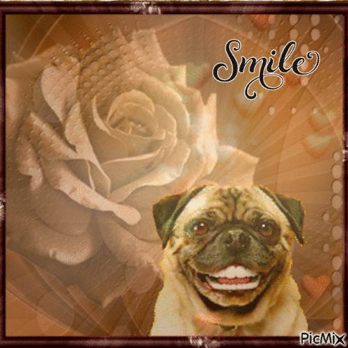smile - Darmowy animowany GIF