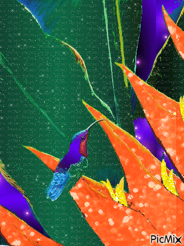 Тропические птички - Бесплатный анимированный гифка