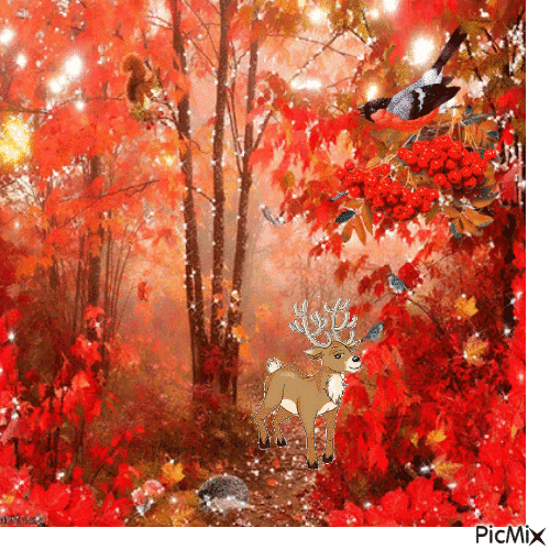 autumn - Gratis geanimeerde GIF