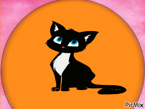 Amazing cat - Bezmaksas animēts GIF