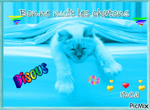 Bonne nuit les chatons - Бесплатный анимированный гифка
