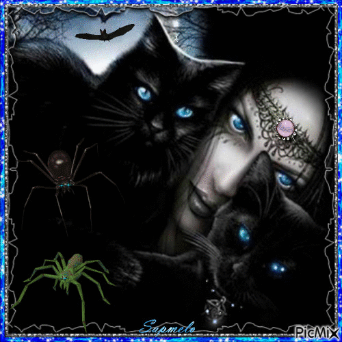 Bruxa e gato de olho azul- Halloween - GIF animado gratis