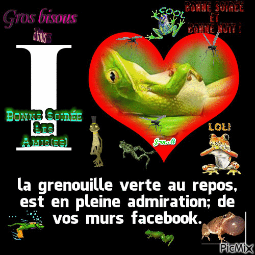 la grenouille - Ücretsiz animasyonlu GIF