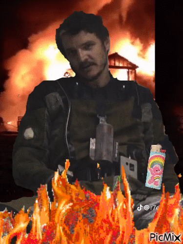 pedro pascal burns down my house - GIF animado gratis