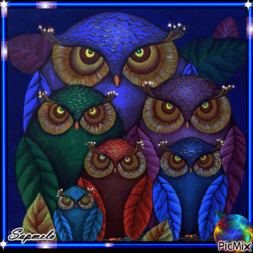 Corujas- Owls - Darmowy animowany GIF