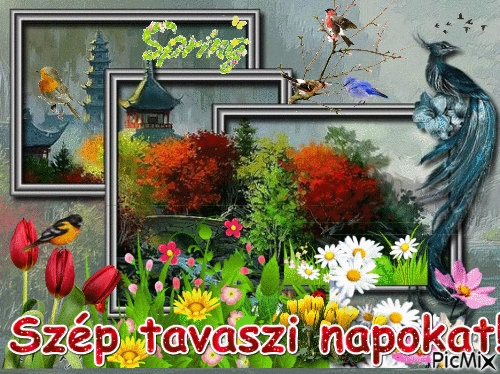 Tavasz - GIF animado gratis