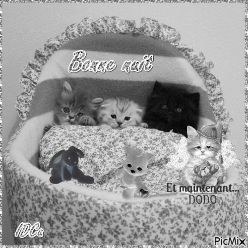 Bonne nuit  les chatons - 無料のアニメーション GIF