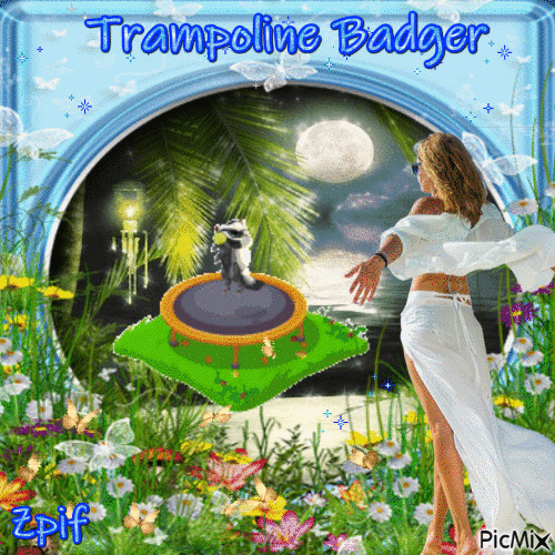 Trampoline Badger - Ingyenes animált GIF