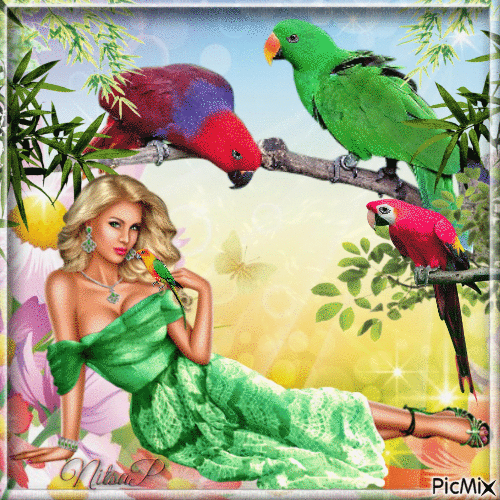 The girl likes parrots - Δωρεάν κινούμενο GIF