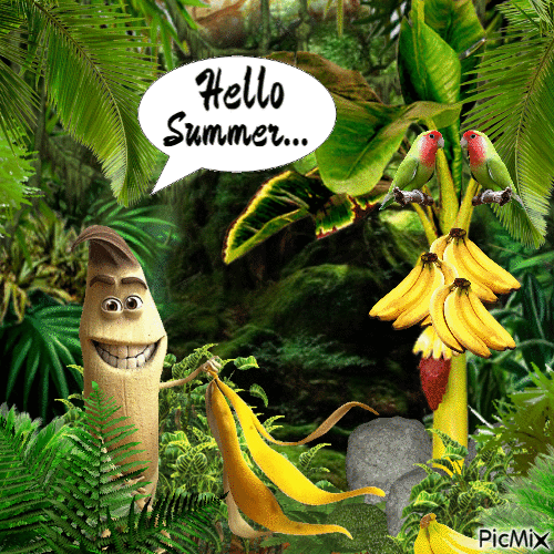Hello Summer... - Animovaný GIF zadarmo