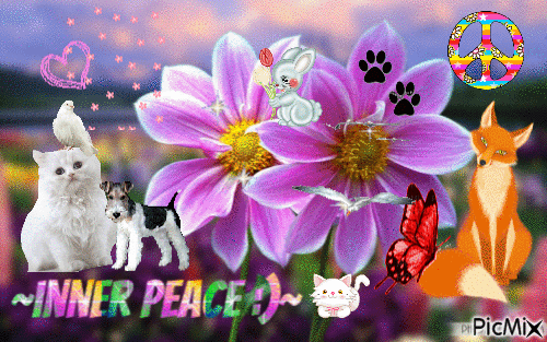 Peace, love…and animals :) - GIF animado gratis