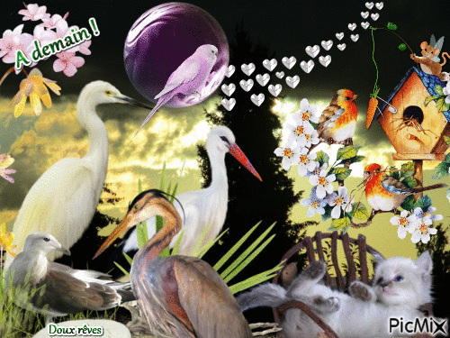 Les oiseaux - Darmowy animowany GIF