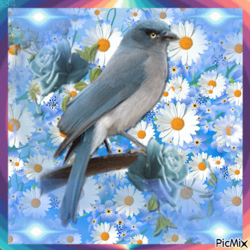 floating daisy background, a blue bird on a tree limb, a few blue flowers, and blue sparkles, in a moving frame. - Animovaný GIF zadarmo