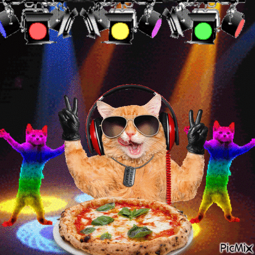 Pizza and Cats go together - GIF animé gratuit