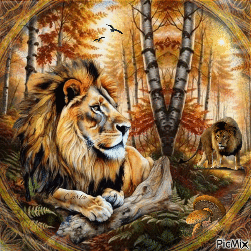 Votre animal préféré (LION) - 免费动画 GIF