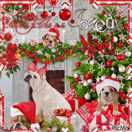 Christmas Dogs - Gratis geanimeerde GIF