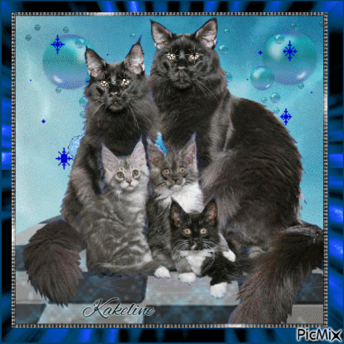 Famille des chats - GIF animé gratuit