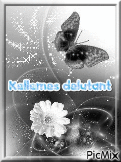 Pillango - Besplatni animirani GIF